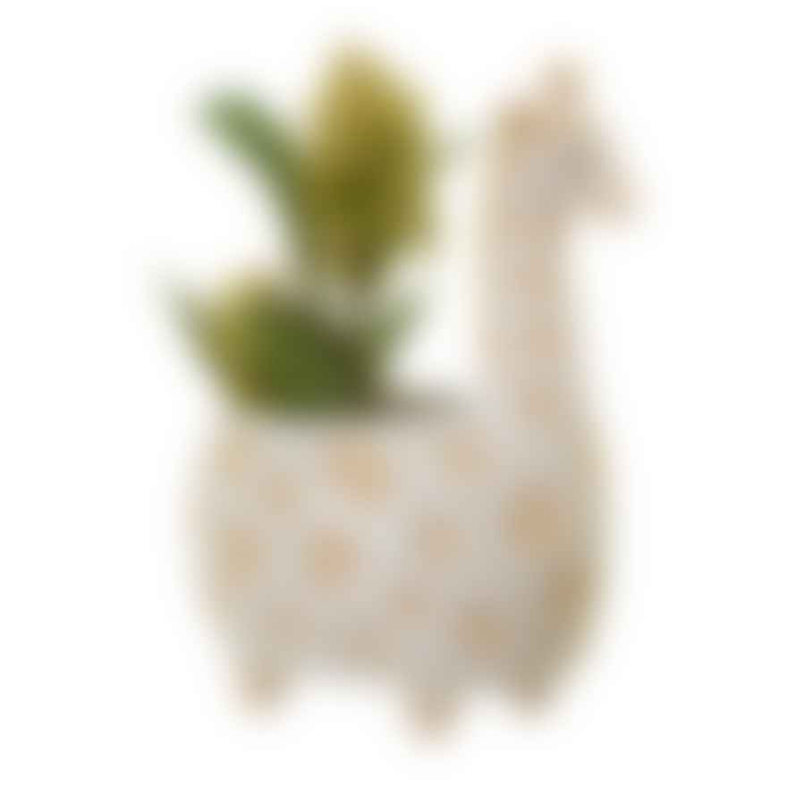 Made in Charme Gina Giraffe Planter