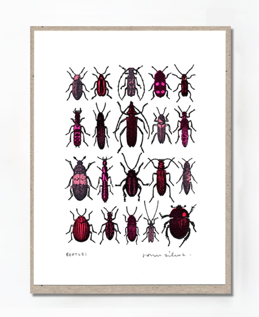 John Dilnot Beetles Red Mini Print