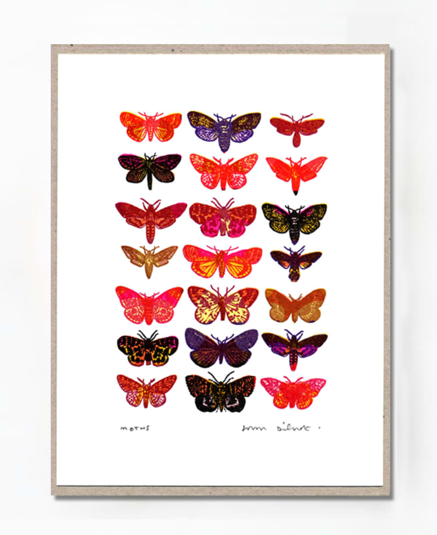 John Dilnot Moths Pink Mini Print