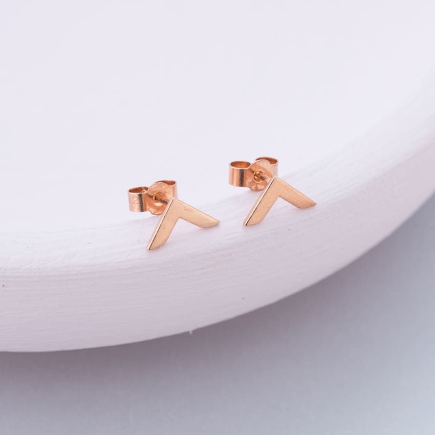 Posh Totty Designs 18ct Rose Gold Plate Chevron Stud Earrings