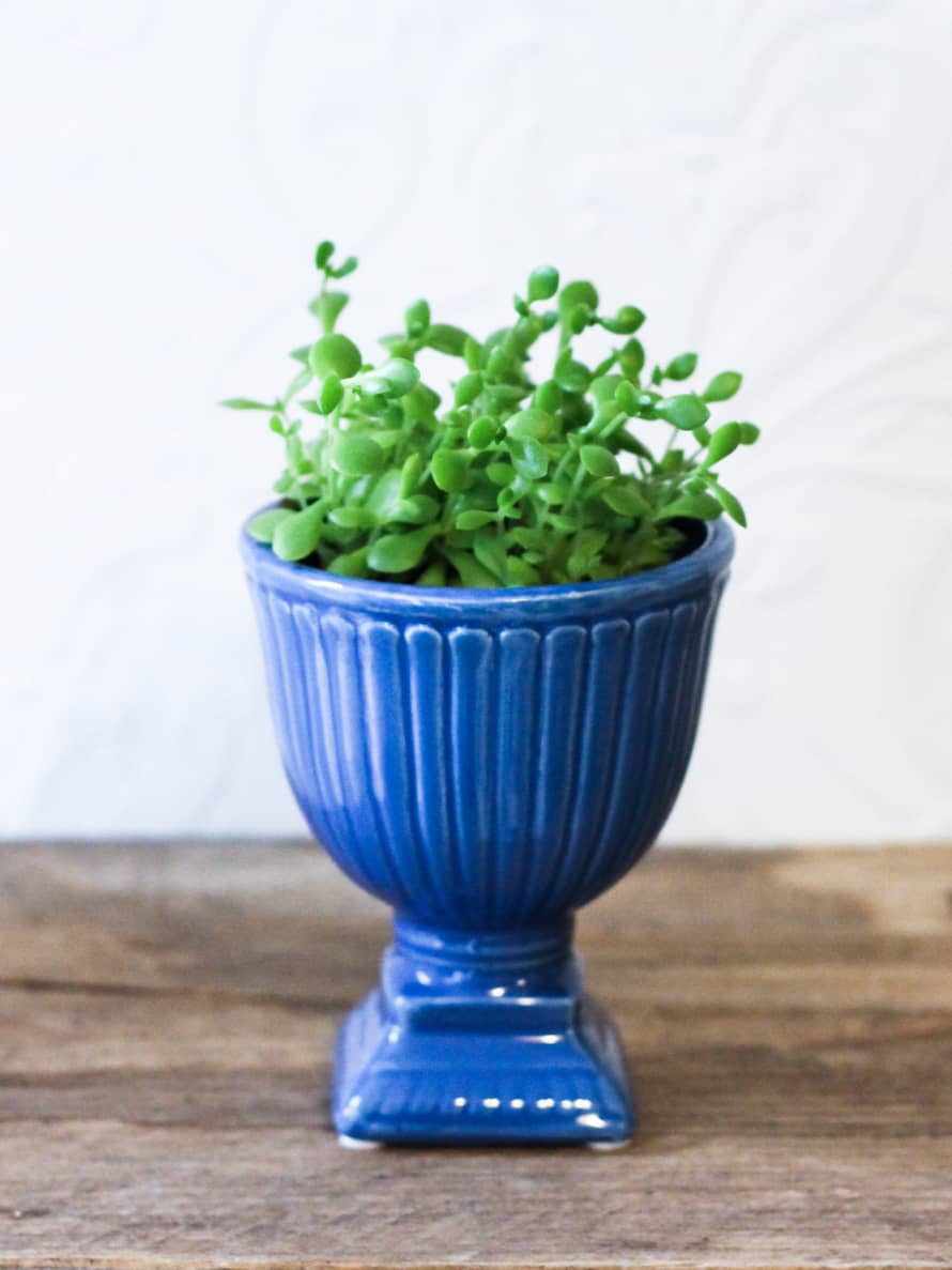 Chive Blue Mini Urn Planter