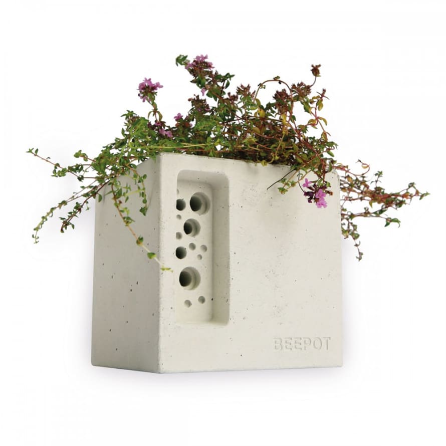 Green & Blue Mini Concrete Beepot With Planter