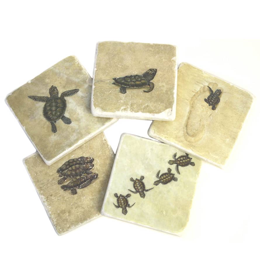 Jenny Blanc Marble Turtle Coaster 