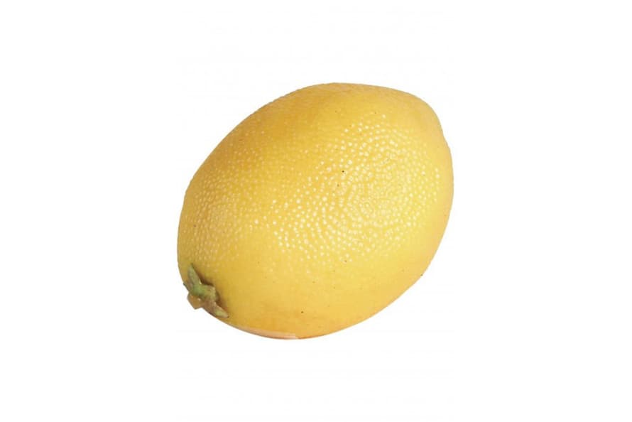 The Home Collection Artificial Lemon