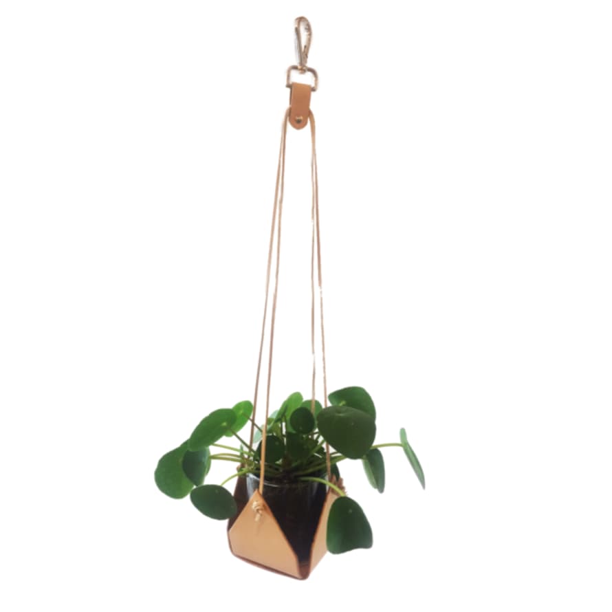 Kate Sheridan Nude Plant Hanger