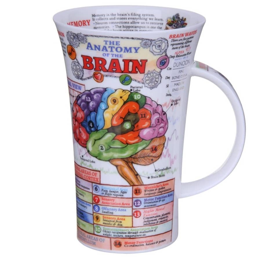 Dunoon Glencoe The Brain Mug