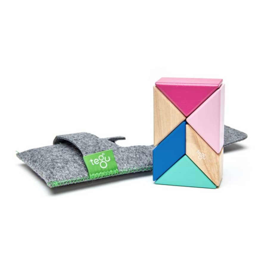 Tegu 6pcs Blossom Magnetic Wood Prism Puzzle Toy