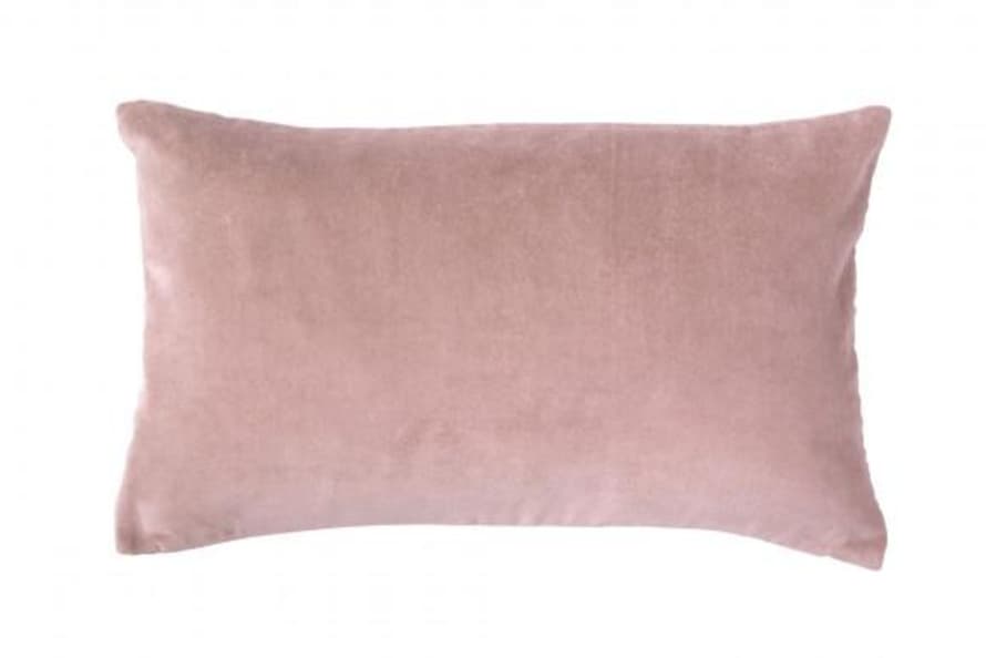 Also Home Blush Pink Velvet Rectangle Cushion 