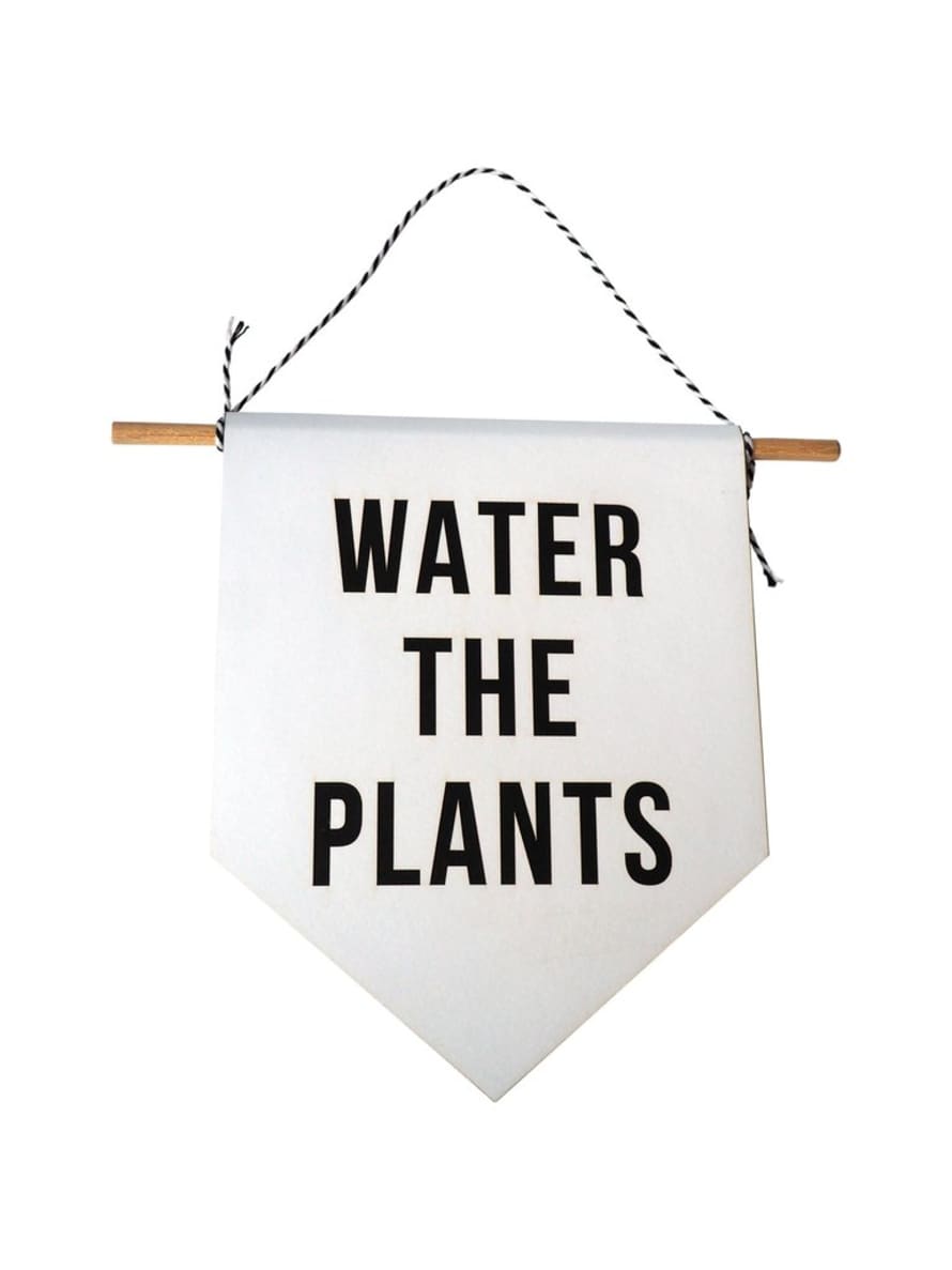 Hi Cacti Water The Plants Banner