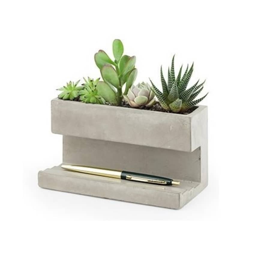 Kikkerland Design Large Concrete Planter And Pen Holder