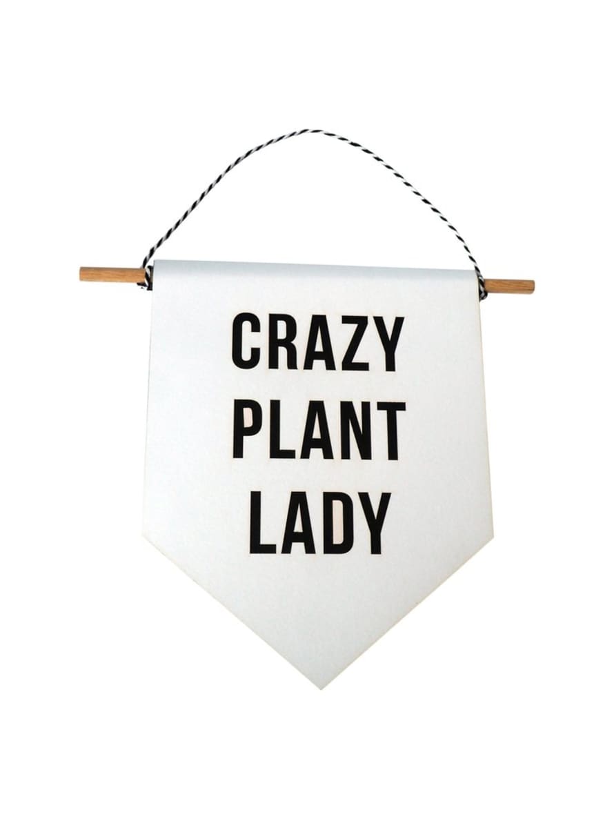 Hi Cacti Crazy Plant Lady Banner