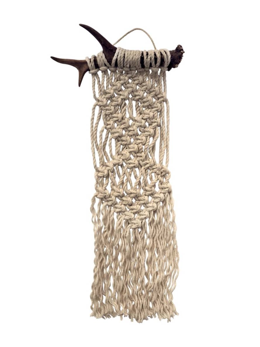 Hi Cacti Macramé Antler Wall Hanging