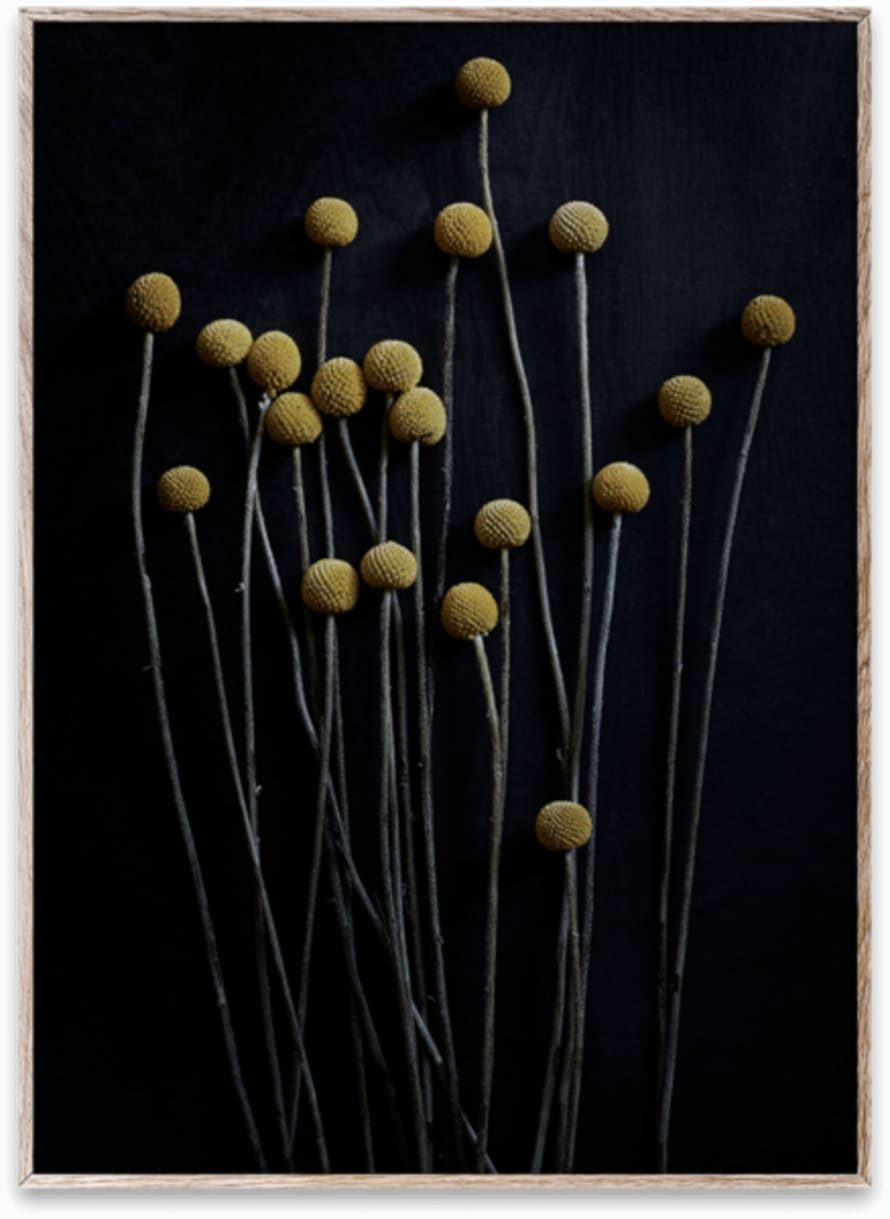 Paper Collective Yellow 30 X 40 Cm Still Life 1 Drumsticks Print 