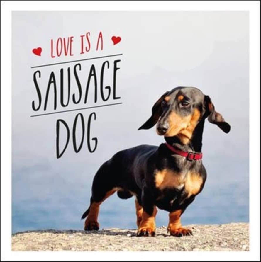Summersdale Love Is A Sausage Dog Book