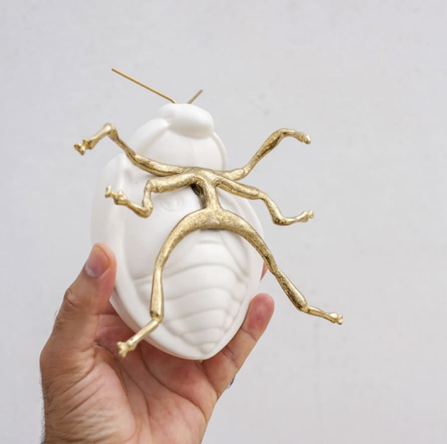 Laboratorio D’Estorias  White Matt Glazed Ceramic Ladybug With Brass Legs