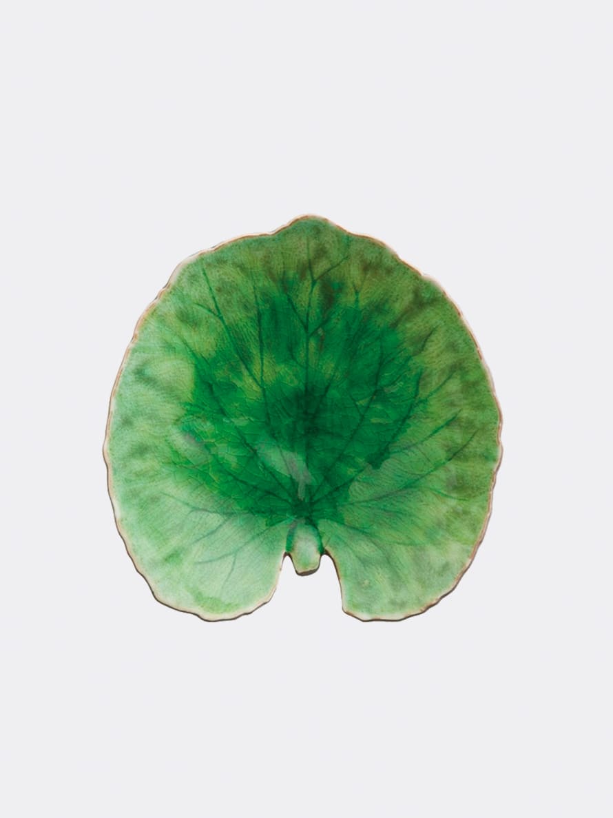 COSTA NOVA Unique Green Glazed Ceramic Alchemille Ceramic Leaf