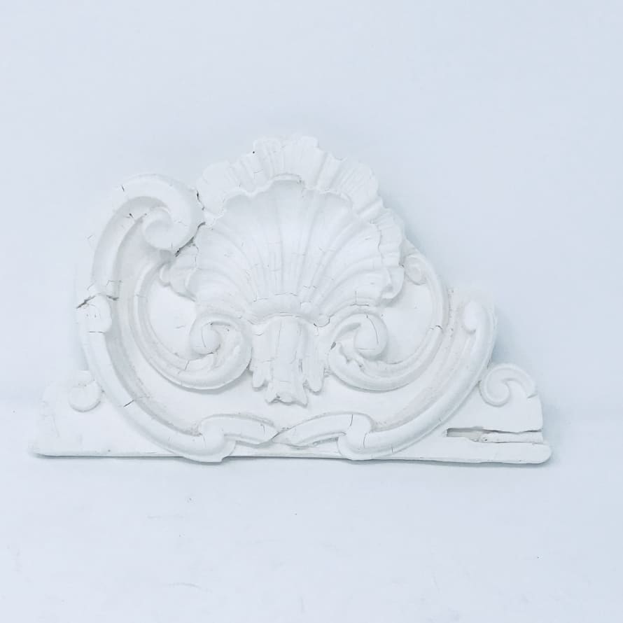 Pale & Interesting Shell Scroll Plastercast