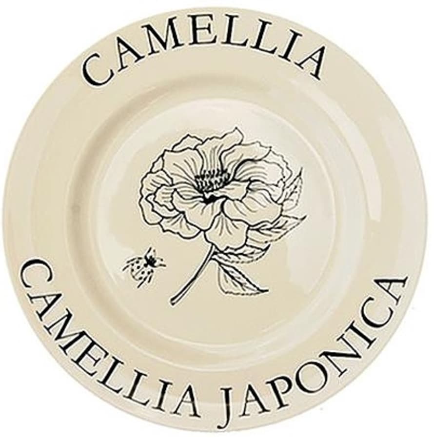 Pale & Interesting Camelia Ladybird Modern Botanicals Dinner Plates