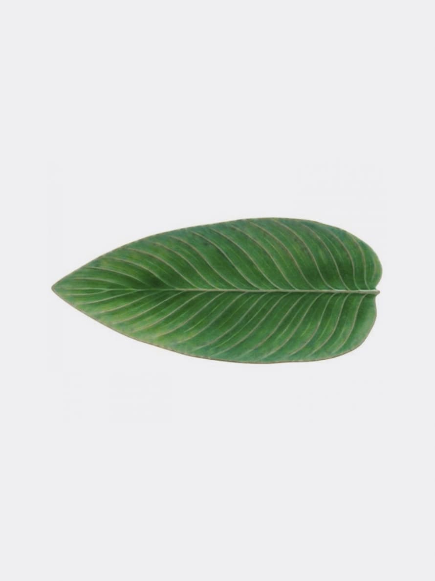 COSTA NOVA Unique Green Glazed Ceramic Platter Strelizia Leaf