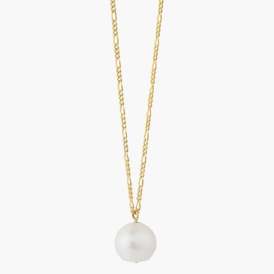 Aym Gold Freshwater Pearl Necklace