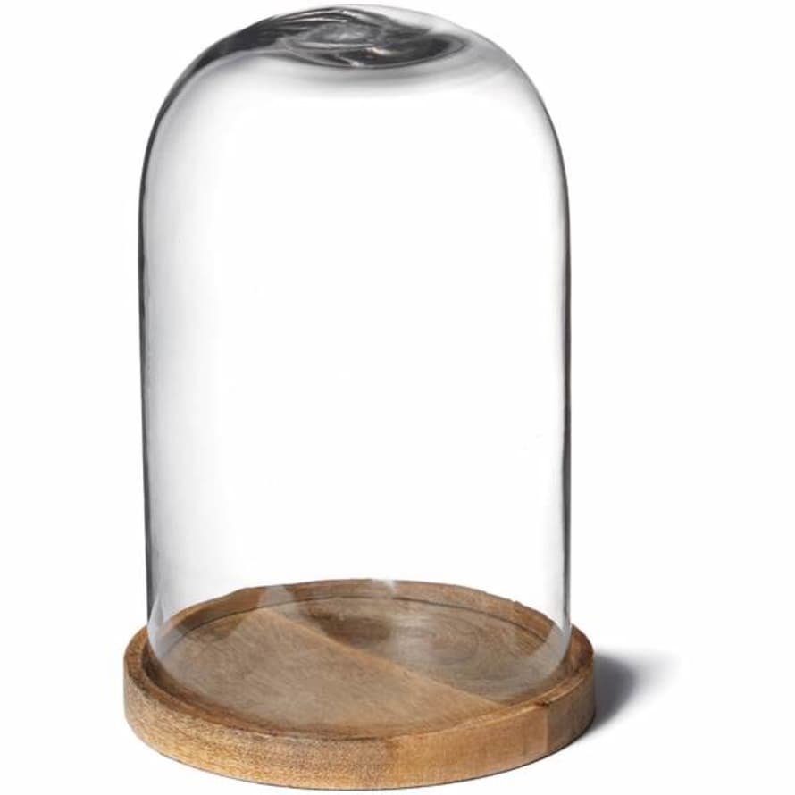 CollardManson Medium Dome Clear Glass 