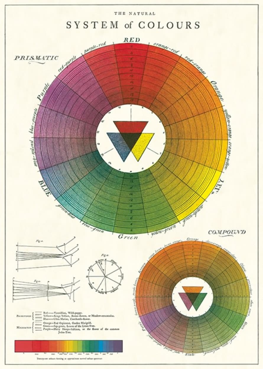 Cavallini & Co Color Wheel Poster