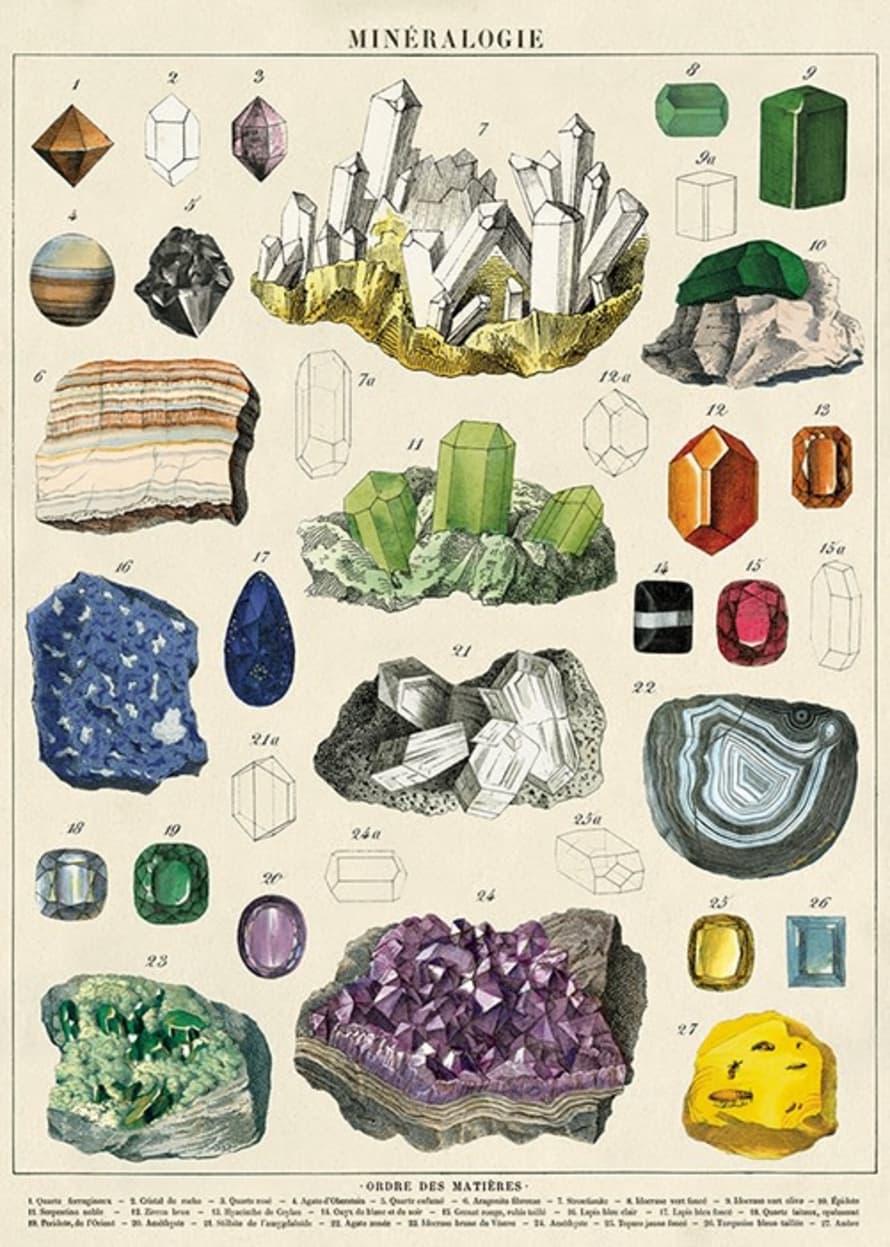 Cavallini & Co Mineralogie Poster