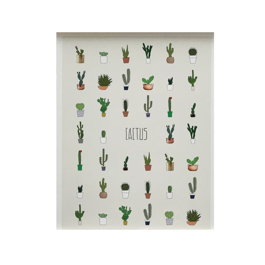 Memory Affiche 30 X 40 Cm Cactus Poster