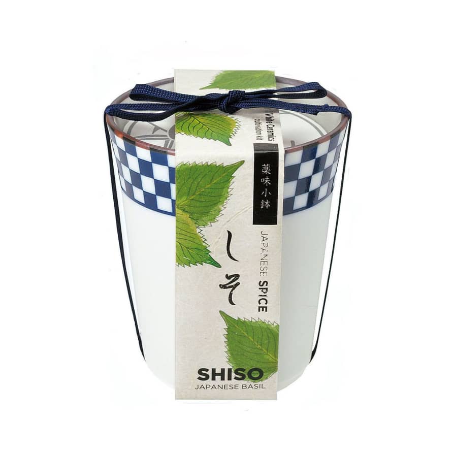 Noted Grow Your Own Japanese Herbs Kit in a Ceramic Pot - Shiso  