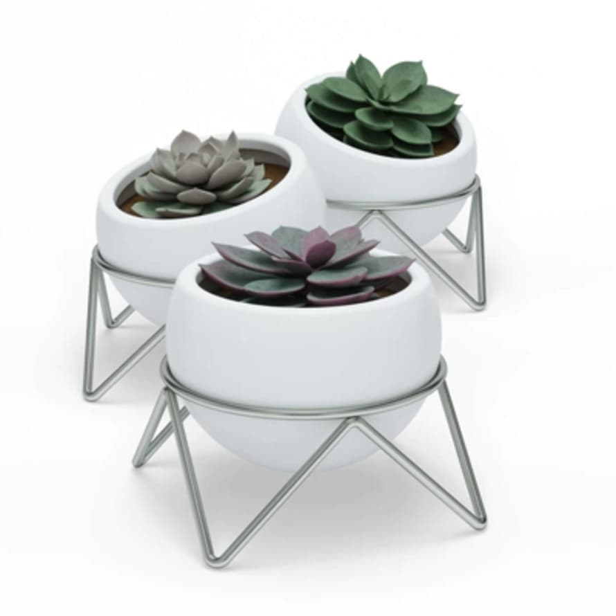 Umbra Set of 3 White & Nickel Potsy Planters