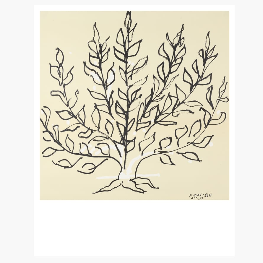 Galerie Maeght Henri MATISSE 'Le Buisson, 1951' Print