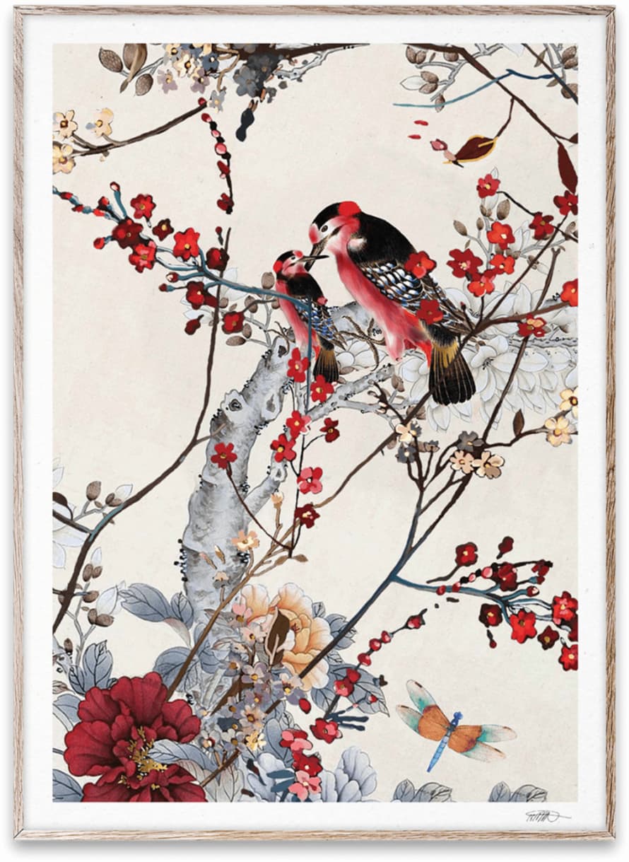 Paper Collective 50 x 70cm Paper Collective Birds Art Print