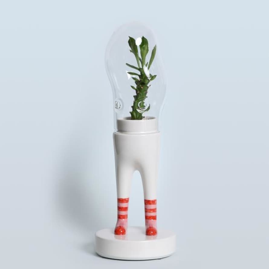 Bosa Domsai Dom Red Pink Socks Ceramic Plant Holder