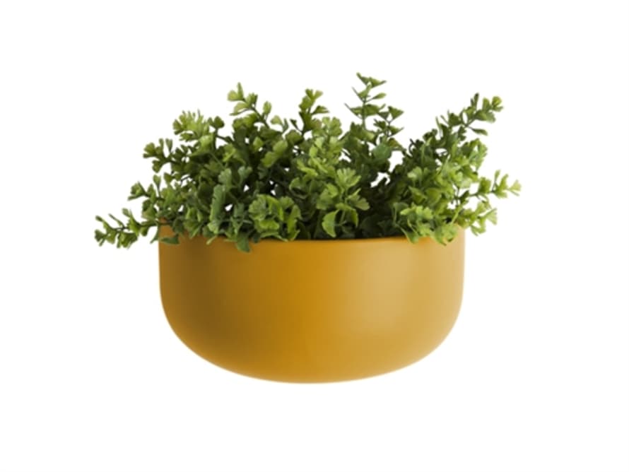 Present Time Wide Oval Ceramic Wall Planter - Yellow Ochre