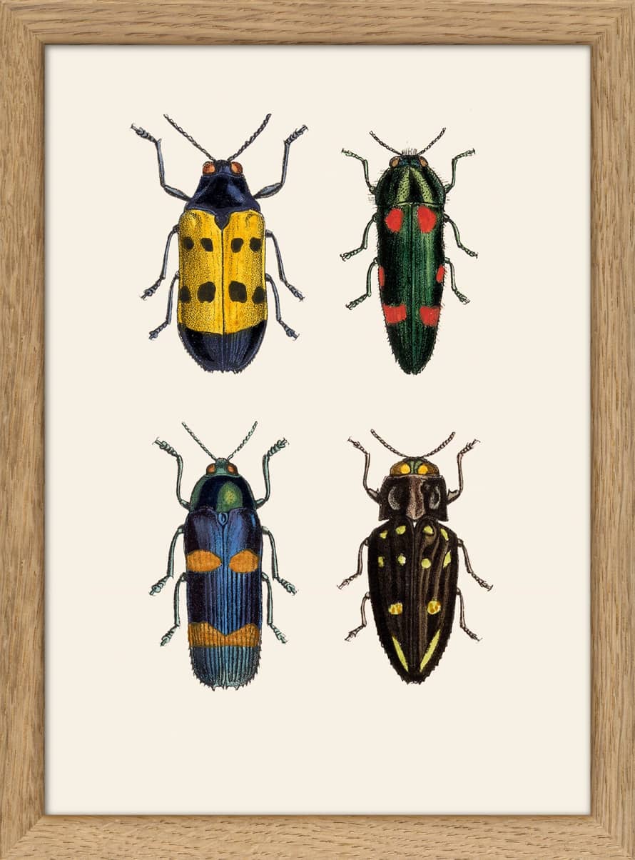 The Dybdahl Co. Beetles Print with Frame