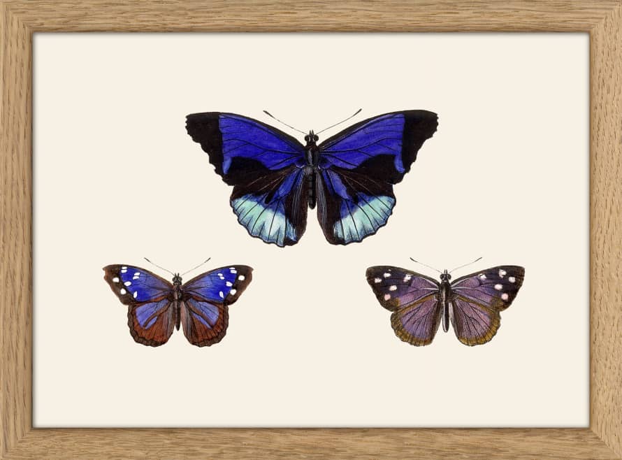 The Dybdahl Co. Blue Butterflies Print with Frame