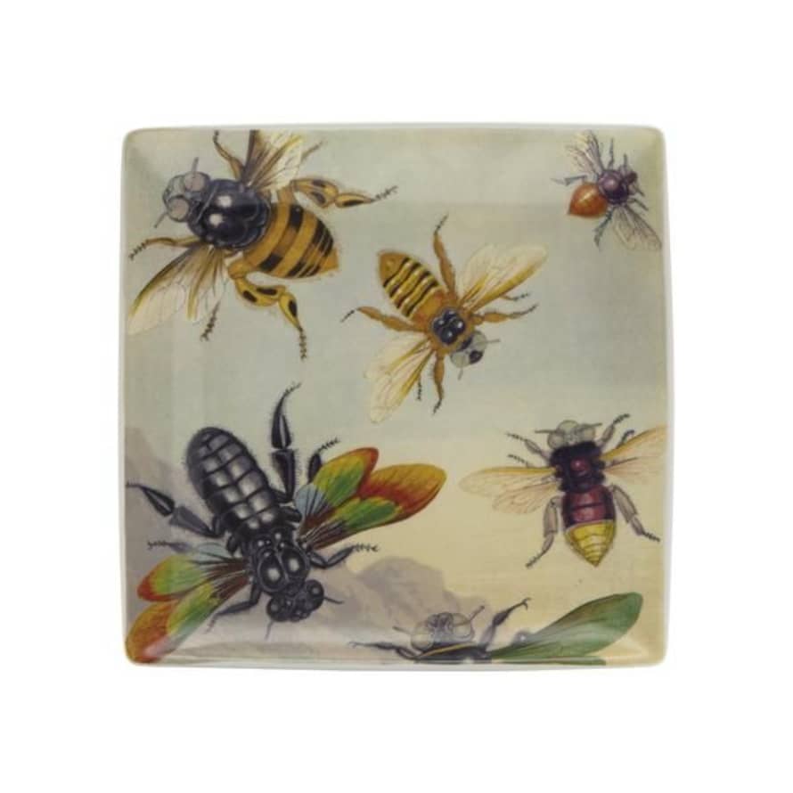 Magpie 20 x 20cm Rainbow Beetle Trinket Tray