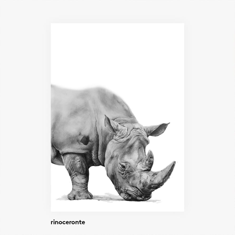 casa atlantica Rino - Animal illustrations poster A3