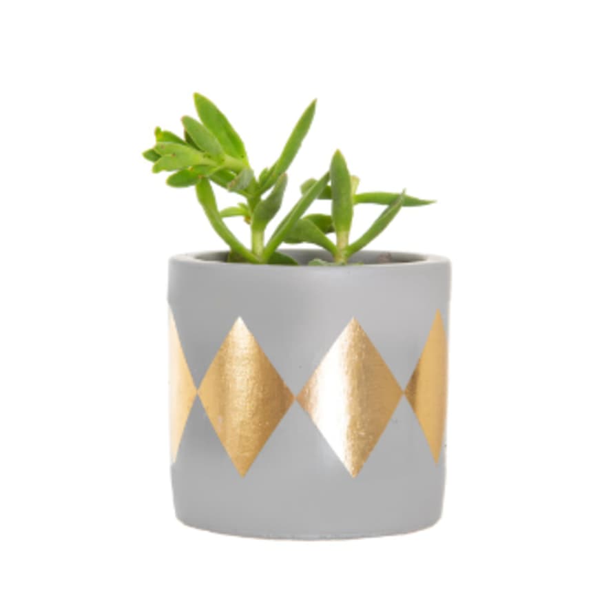 Sass & Belle  Gold Cement Planter