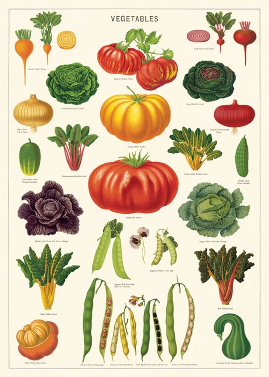 Cavallini & Co Vegetable Garden Poster