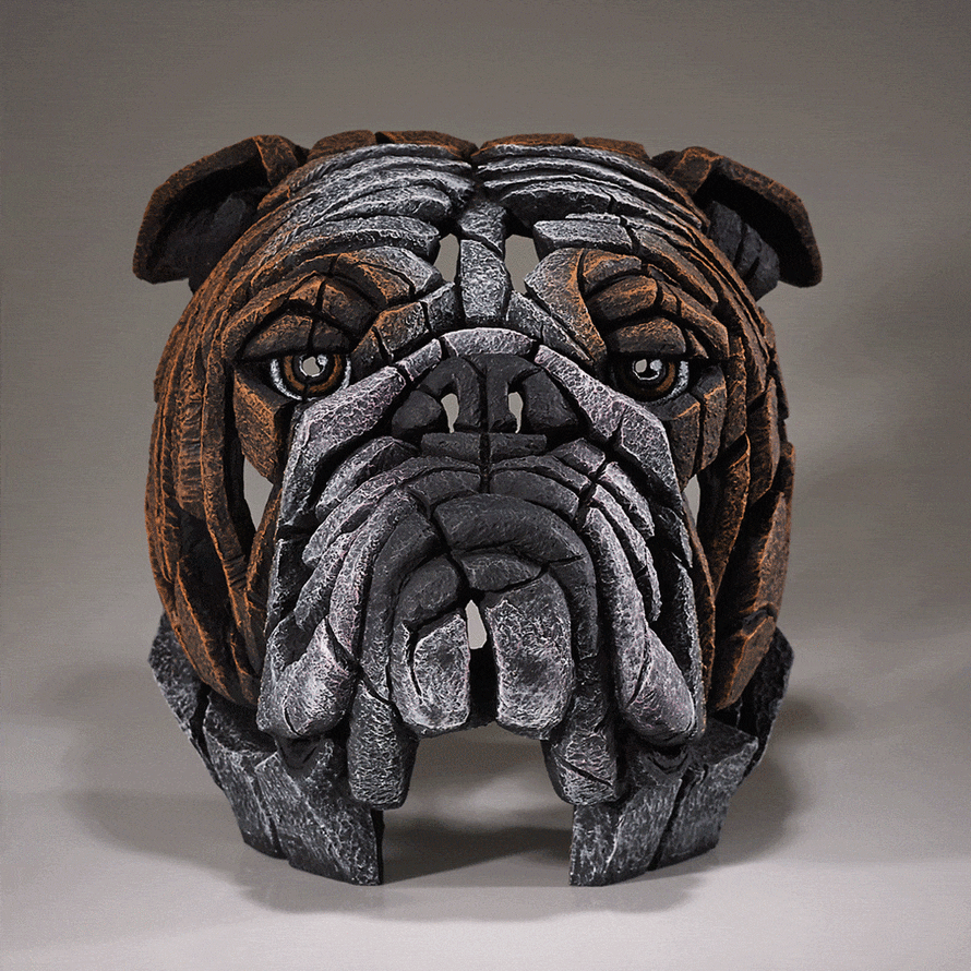 Edge Bulldog Bust Sculpture By Matt Buckley