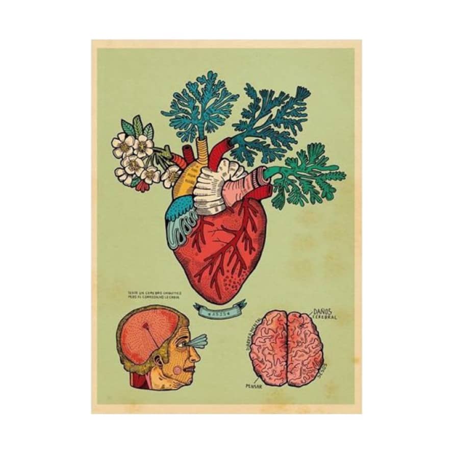 Asis Percales A4 He Was A Boy with A Small Brain But An Overflowing Heart Illustration Print