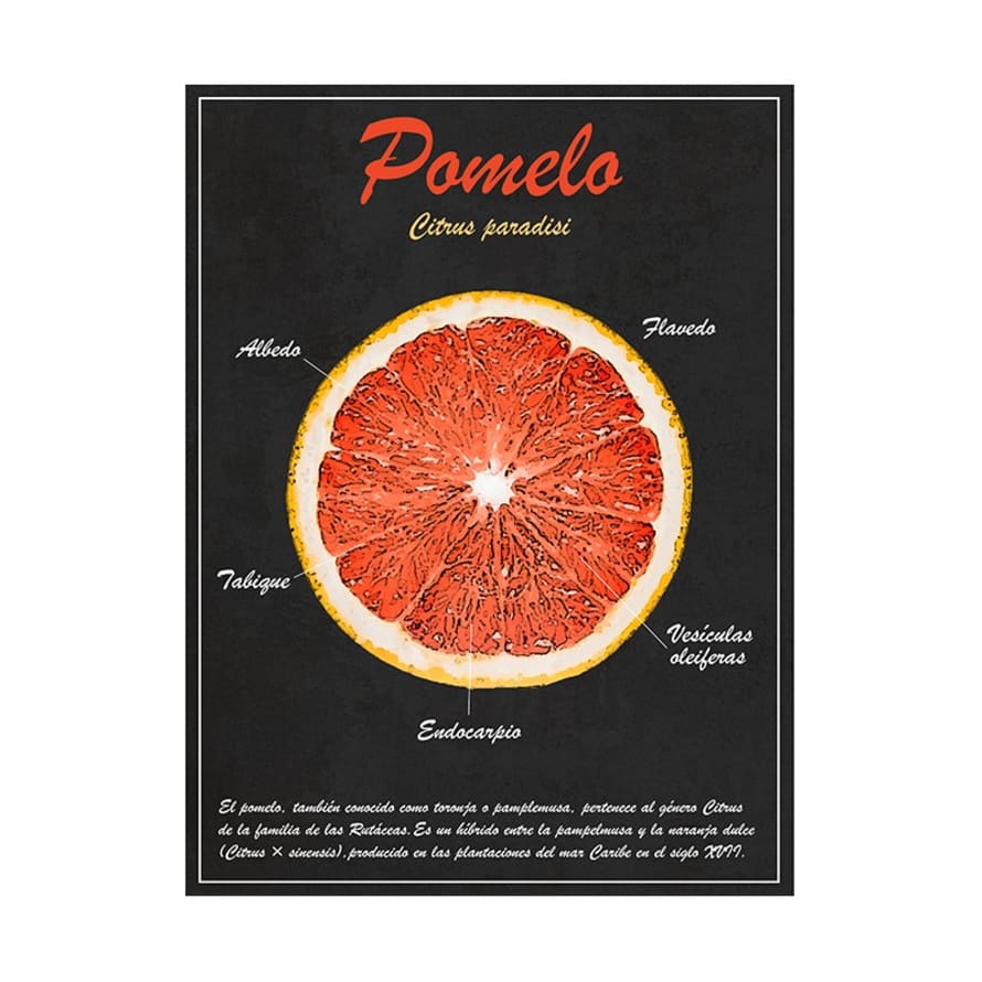 Moi Jonsson Grapefruit Illustration Poster