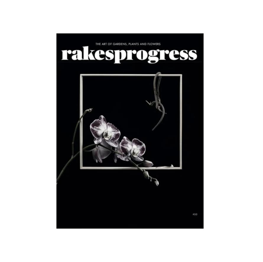 Rakes Progress Rakesprogress Issue 10