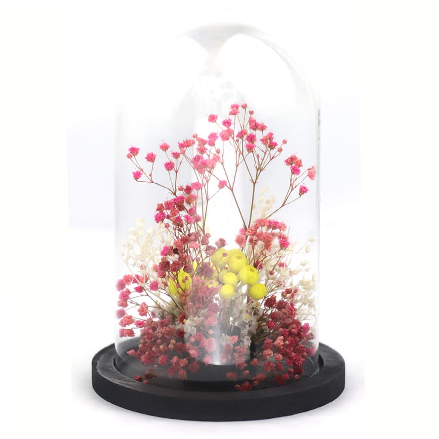 ADELAIDE AVRIL Glass dome  Preserved and dry flowers Pink Corail Summer