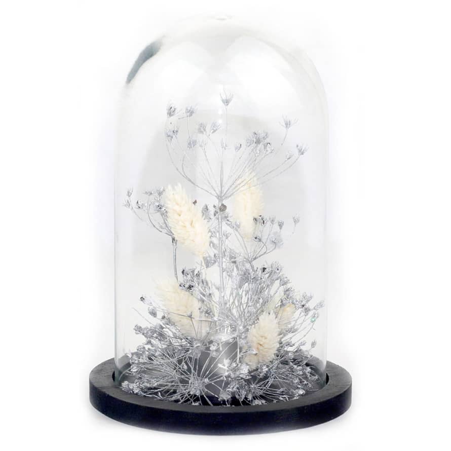 ADELAIDE AVRIL Glass dome  Preserved and dry flowers Silver et White