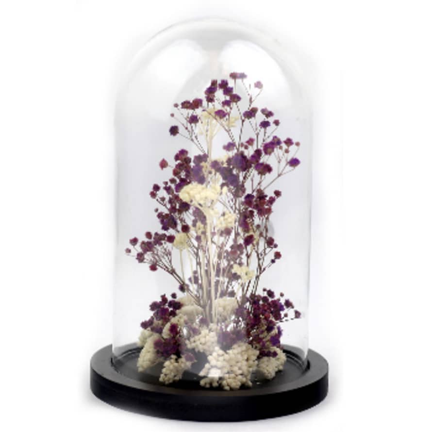 ADELAIDE AVRIL Glass dome  Preserved and dry flowers Purple