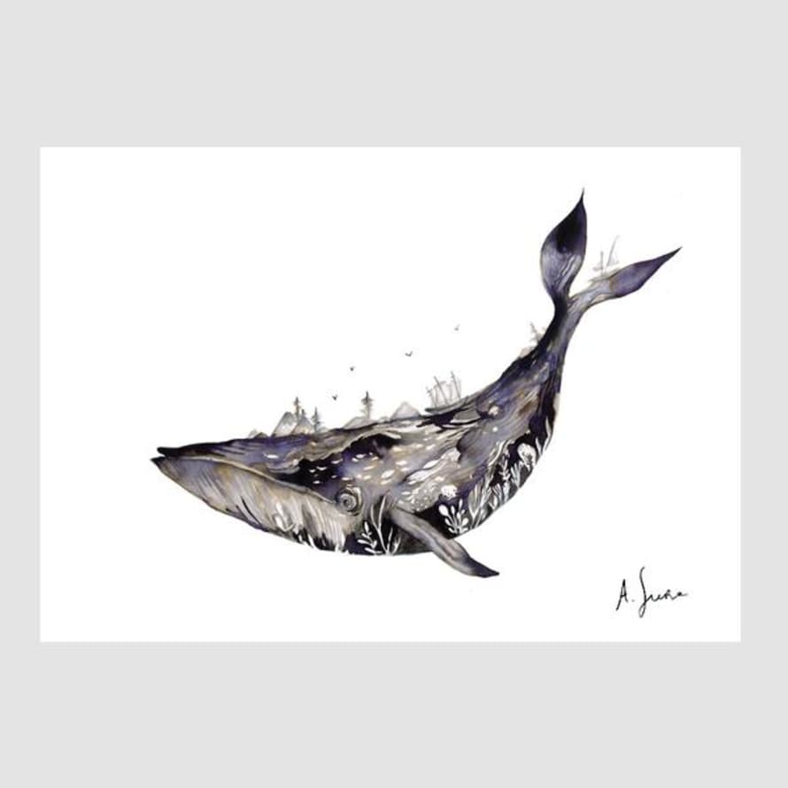 Adolfo Serra A4 Whale Digital Print