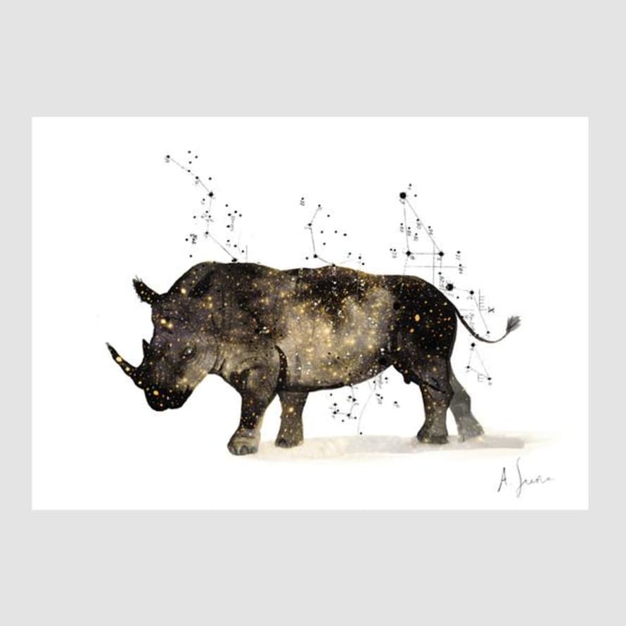 Adolfo Serra A4 Rhinoceros Digital Print