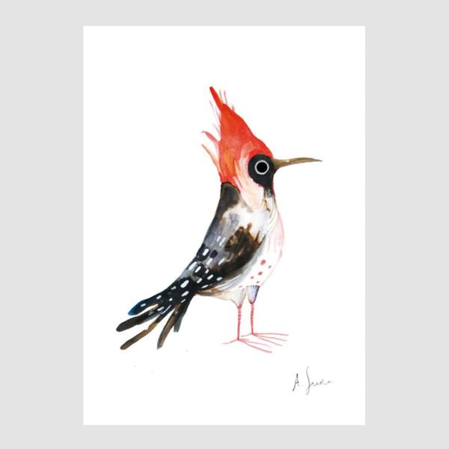 Adolfo Serra A4 Bird 1 Digital Print